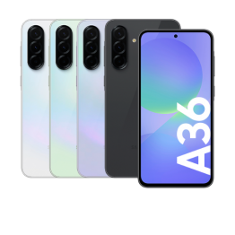 a36